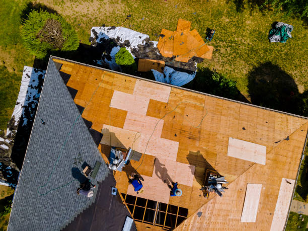 Best Roof Maintenance Services  in Hlcrest, IL