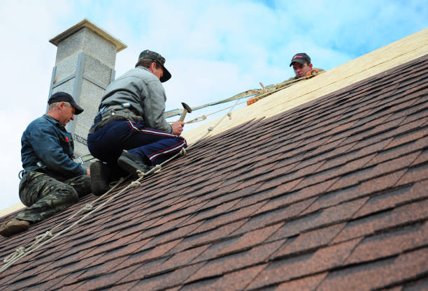 Professional Roofing Contractor in Hillcrest, IL
